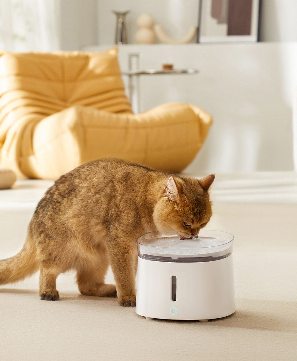 Produse pentru animale de companie