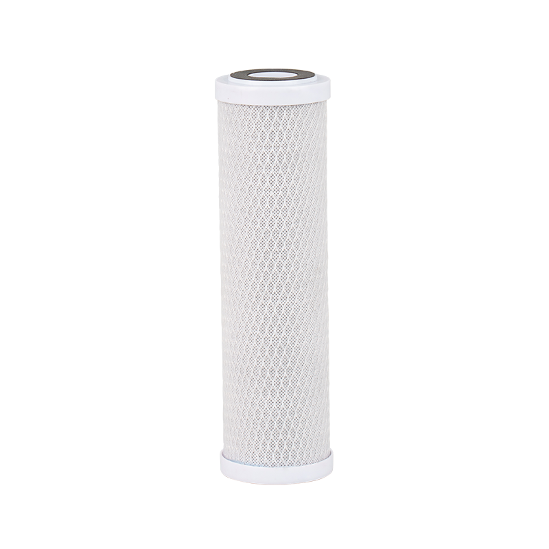 Cartușe cu filtru pre-bloc CTO de 10 inci